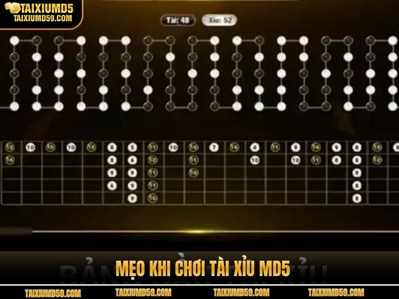Mẹo khi chơi tài xỉu MD5