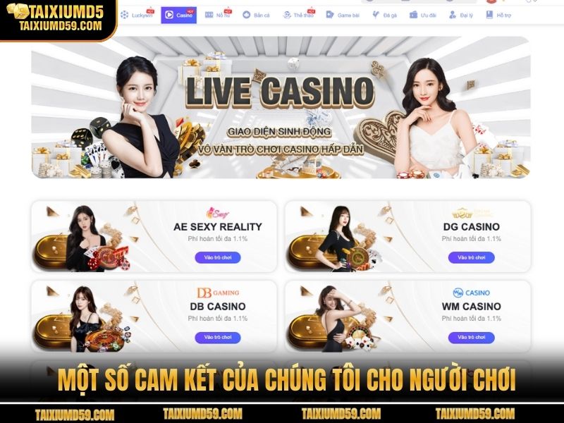 Một số cam kết của chúng tôi cho người chơi