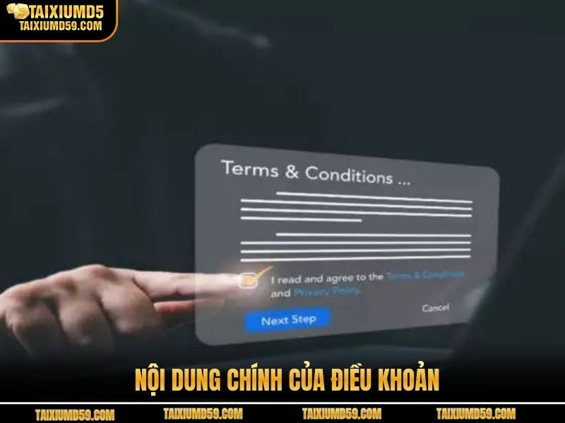 Nội dung chính của điều khoản