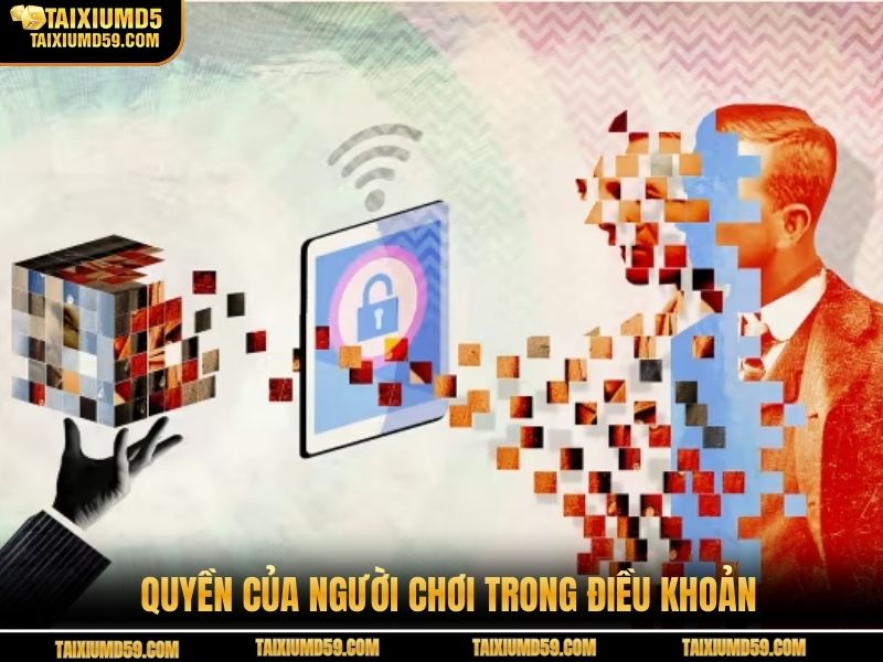 Quyền của người chơi trong điều khoản