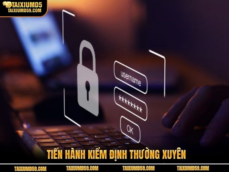 Tiến hành kiểm định thường xuyên
